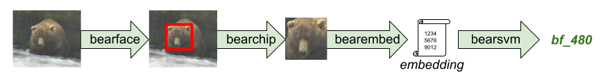 bearid data flow
