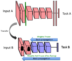 Transfer Learning